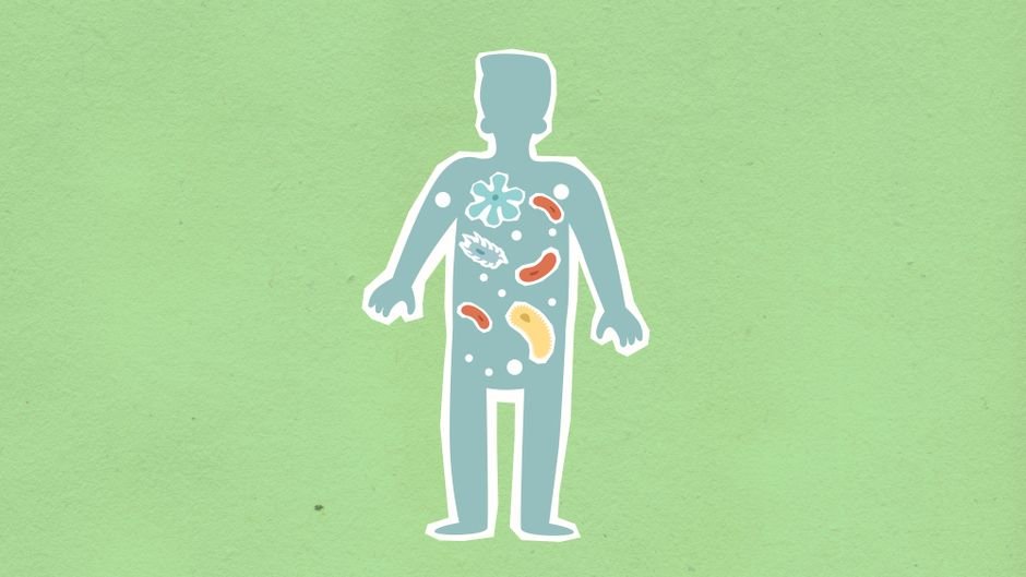 New 2026 FDA Guidelines on Gut Microbiome: What You Need to Know
