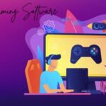 Online Gaming Software