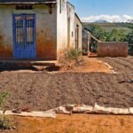 Coffee beans spread out to dry on bare ground beside a rural house near Da Lat, with coffee trees and hills behind